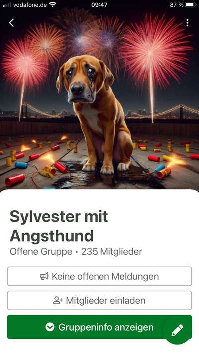 Ruhige Unterkunft für Silvester mit Hund-Beitrag-Bild