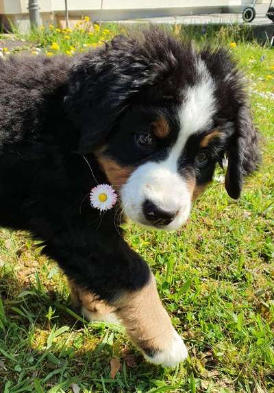 Lieblingsbild :D-Beitrag-Bild