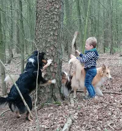 Lustige Bilder-Beitrag-Bild