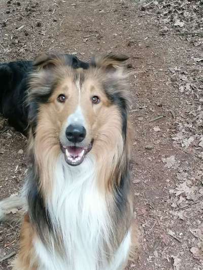 Immer lächeln !-Beitrag-Bild