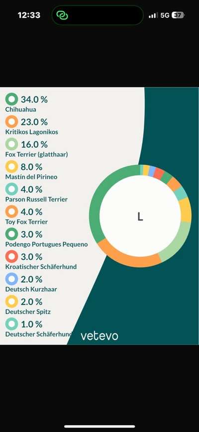 Mischlinge raten - Rätselspaß-Beitrag-Bild