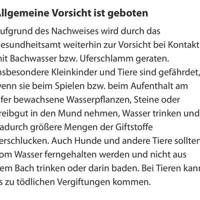 Giftköder-Blaualgen nachgewiesen-Bild