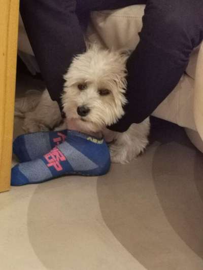 Fotochallange Nr. 6 Die irrsten Blicke-Beitrag-Bild