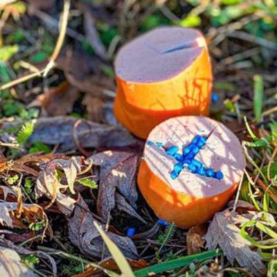 Giftköder-Giftköder-Bild