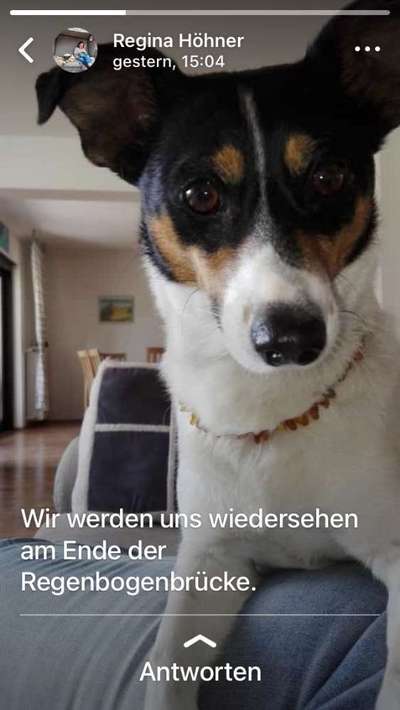 Lieblingsbild-Beitrag-Bild