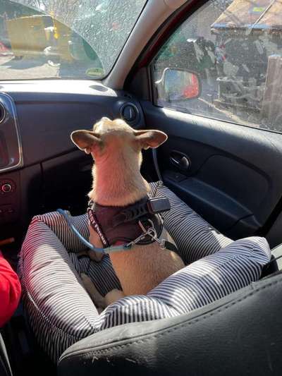 117. Fotochallenge-Beitrag-Bild