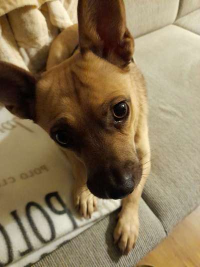 Lieblingsbild-Beitrag-Bild