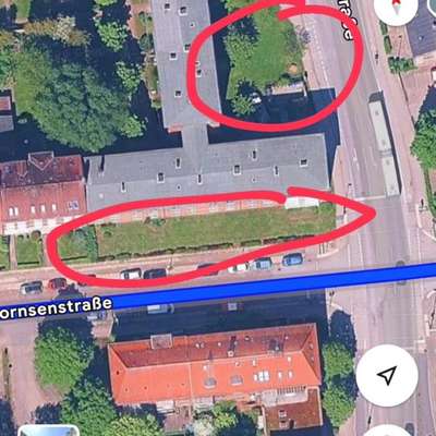 Giftköder-Giftköder Ecke Lornsenstraße/Feldstraße-Bild