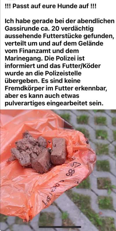 Giftköder-Futter/Köder im Marinegang-Bild