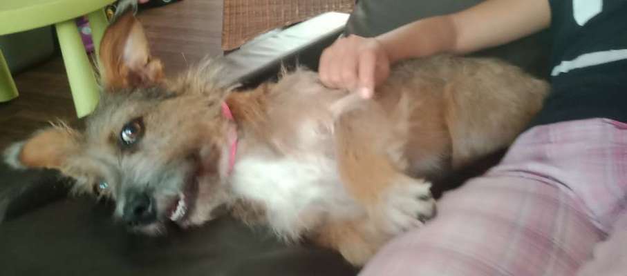 Ist das ein...?-Beitrag-Bild