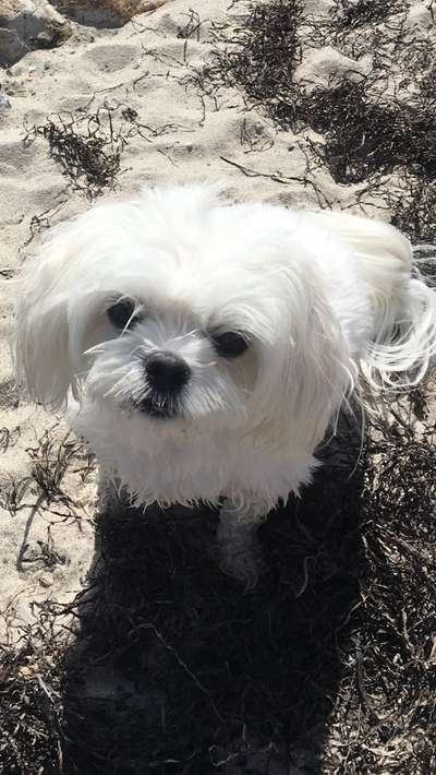 Handy-Foto Challange Nr. 10-Beitrag-Bild