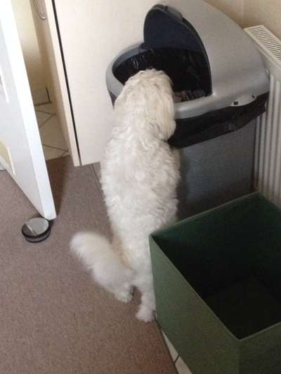 15. Handyfoto Challenge - Indoor Aktivitäten-Beitrag-Bild