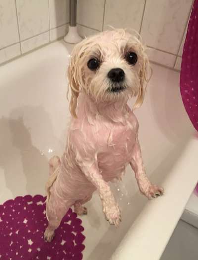 22. Handy Foto - Challenge-Beitrag-Bild