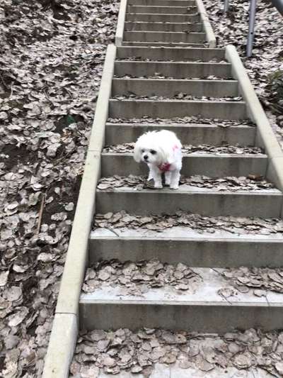 21. Handy-Foto-Challenge-Beitrag-Bild