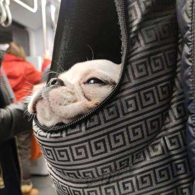 Lieblingsbild-Beitrag-Bild