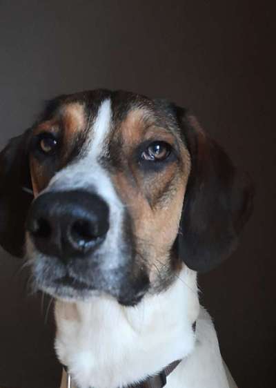 Fotochallange Nr. 57     PORTRÄT.   Beendet!!!!!!!!-Beitrag-Bild