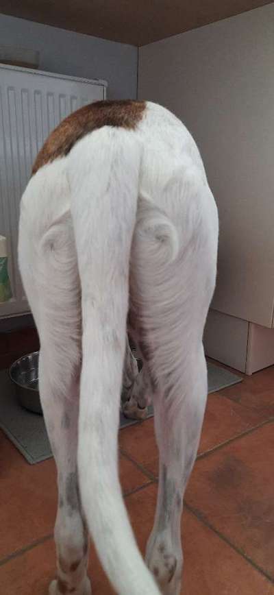 Blick fürs Detail!-Beitrag-Bild