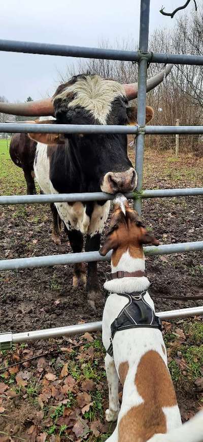Euer schönster Moment des Jahres auf einem Bild!-Beitrag-Bild