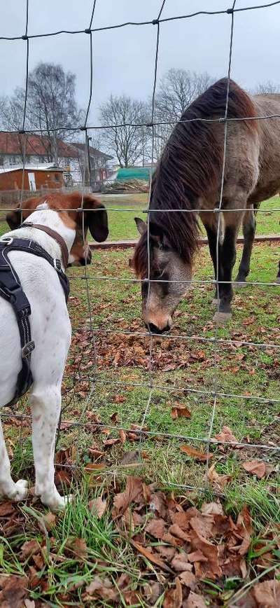 Fotochallenge Nr. 67: Euer Lieblingsbild-Beitrag-Bild