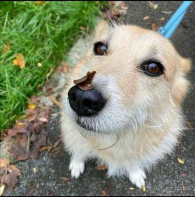 Zeigt mir eure Lieblingsfotos ♡♡-Beitrag-Bild