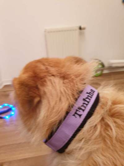 artikel-Beitrag-Bild