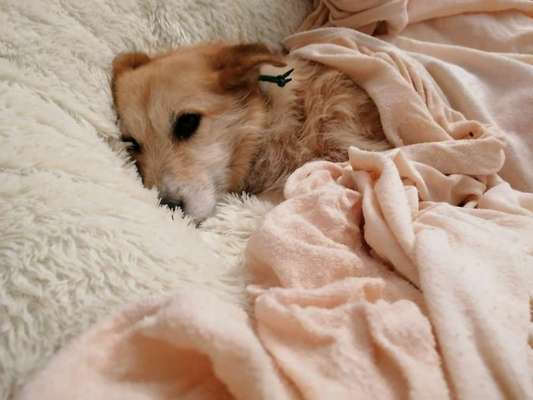 müde der kleine-Beitrag-Bild