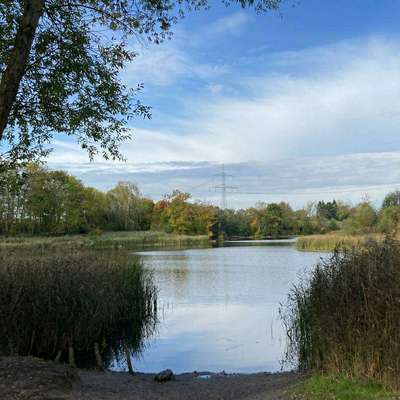 Hundeauslaufgebiet-Wanderwege Haussee und Redsee-Bild