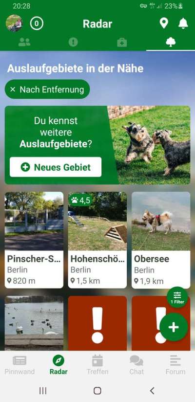 eingezäunte Hundewiesen im Rhein-Erft-Kreis und Umland Köln-Beitrag-Bild