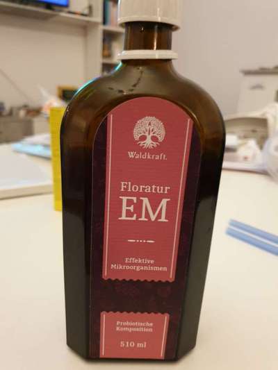Floratur von Waldkraft Erfahrungen-Beitrag-Bild