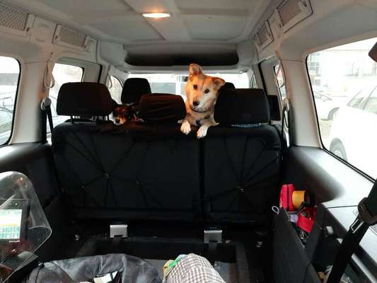 Hundebox im VW Caddy ohne Kofferaum installieren-Beitrag-Bild