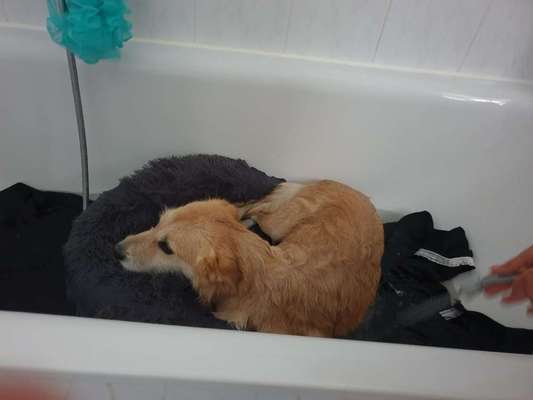 Foto Challenge - BEENDET - bitte aktuelle Challenge nutzen-Beitrag-Bild