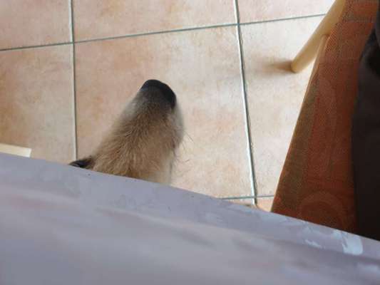 Fotochallenge No. 5-Beitrag-Bild