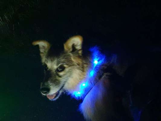 Immer lächeln !-Beitrag-Bild