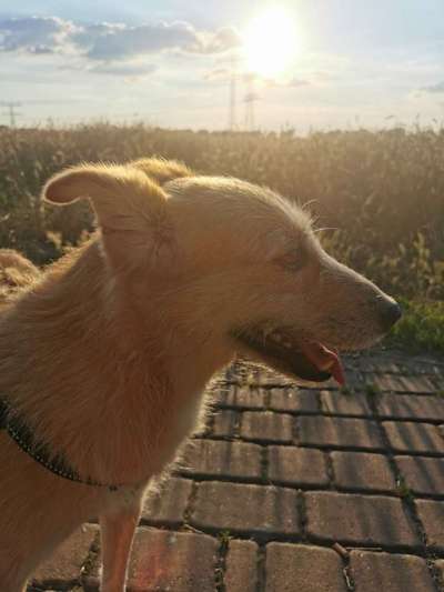 Postet eure schönsten Bilder von Spaziergängen in 2020!-Beitrag-Bild