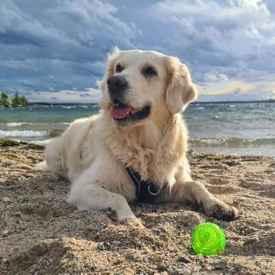 Caterina's Profilbild