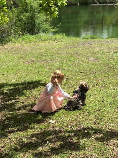 Dogorama-Monats-Challenge-Mai "Wasser"-Beitrag-Bild