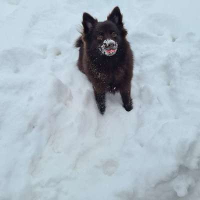 Lieblingsbild :D-Beitrag-Bild