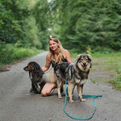 Hundetreffen-Spaziergänge gesucht-Bild