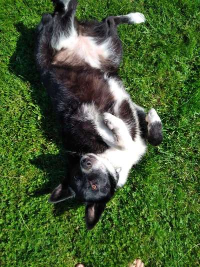 Leute aus Oberbayern?-Beitrag-Bild