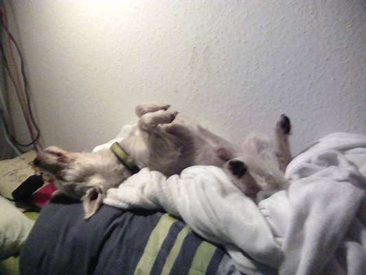 Die unbequemsten und lustigsten Schlafpositionen-Beitrag-Bild