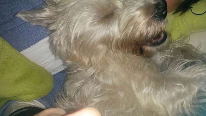 Immer lächeln !-Beitrag-Bild