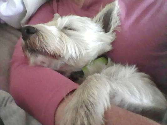 Die unbequemsten und lustigsten Schlafpositionen-Beitrag-Bild