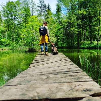 Hundetreffen-Gemeinsam lernen-Profilbild