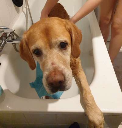 22. Handy Foto - Challenge-Beitrag-Bild