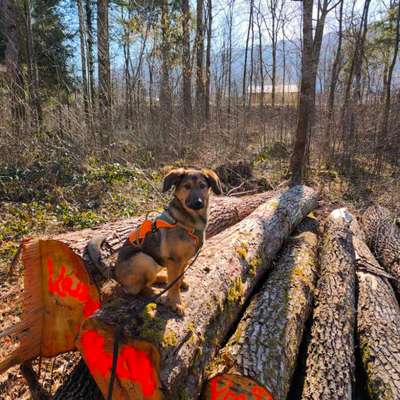 Wie groß wird sie, was denkt ihr?-Beitrag-Bild