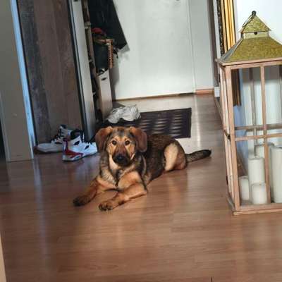 Wie groß wird sie, was denkt ihr?-Beitrag-Bild