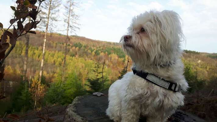 Lieblingsbild-Beitrag-Bild