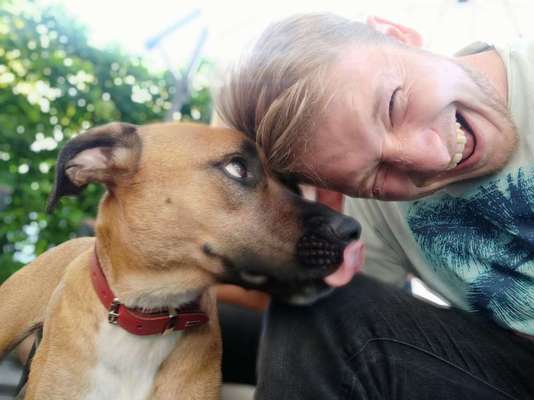 Dogorama Photo Challenge - Selfie Time!-Beitrag-Bild