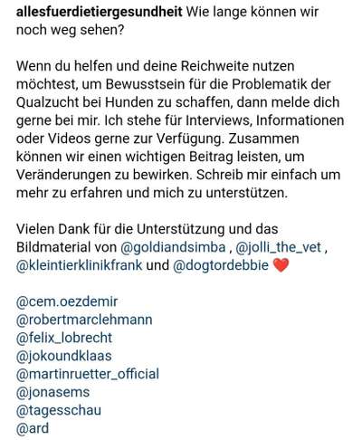 Brachycephale Hunderassen-Beitrag-Bild