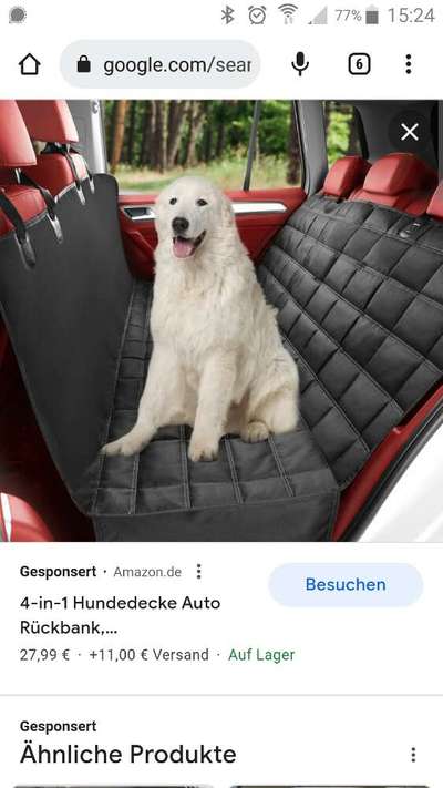 TierschutzhundeStammtisch🐕-Beitrag-Bild